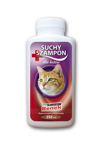 jaki suchy szampon dla kota jaki wybrac